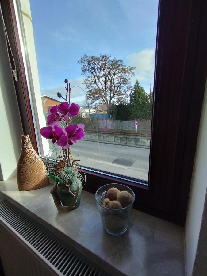 Sunny Side Appartement Kiel Buitenkant foto